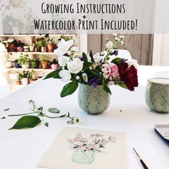 Hyggelight Ida durable cotton wick supports steady, even fragrance release.