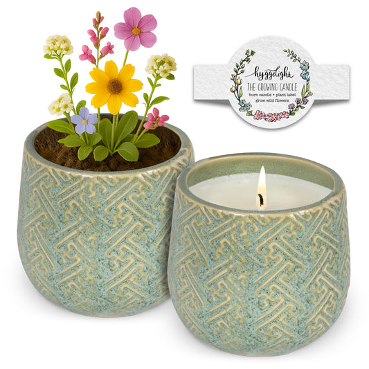 Hyggelight Ida growing candle in lemongrass 10oz pot provides cozy ambiance