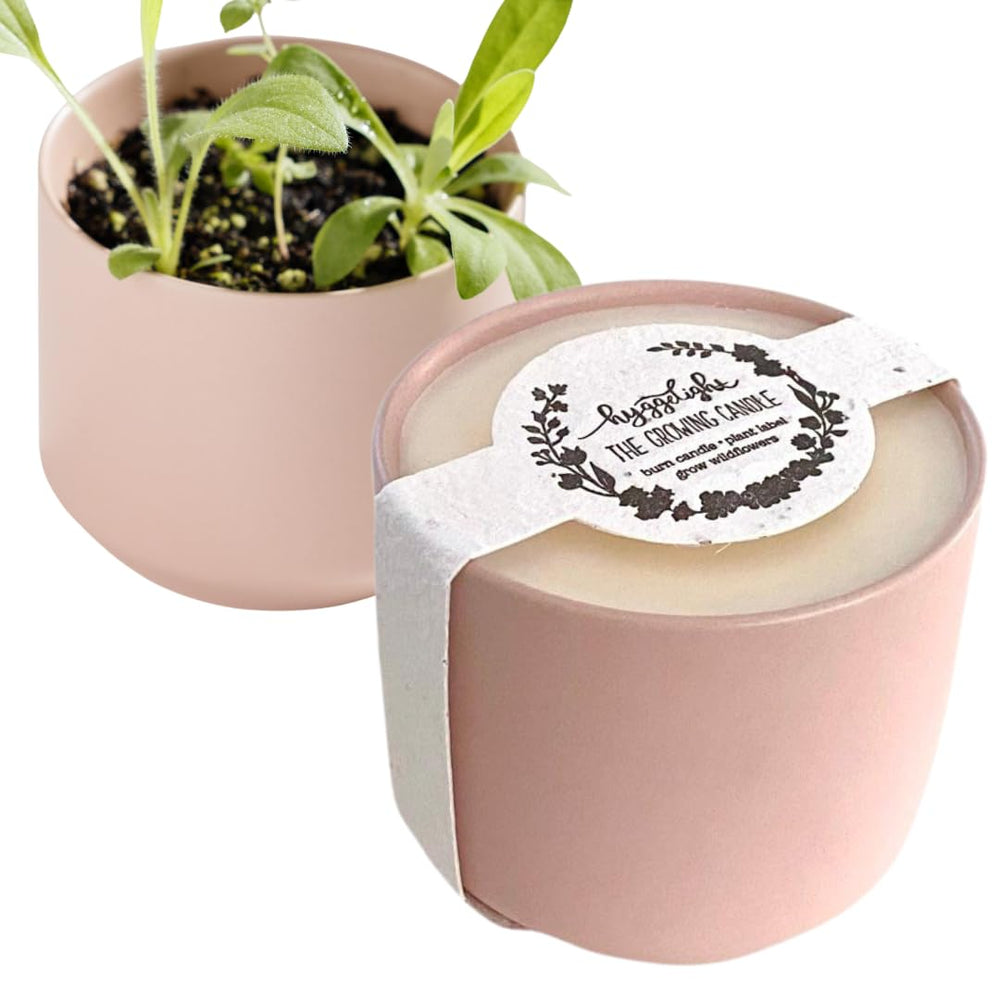 Hyggelight Adelyn pink ceramic container design adds soft home charm
