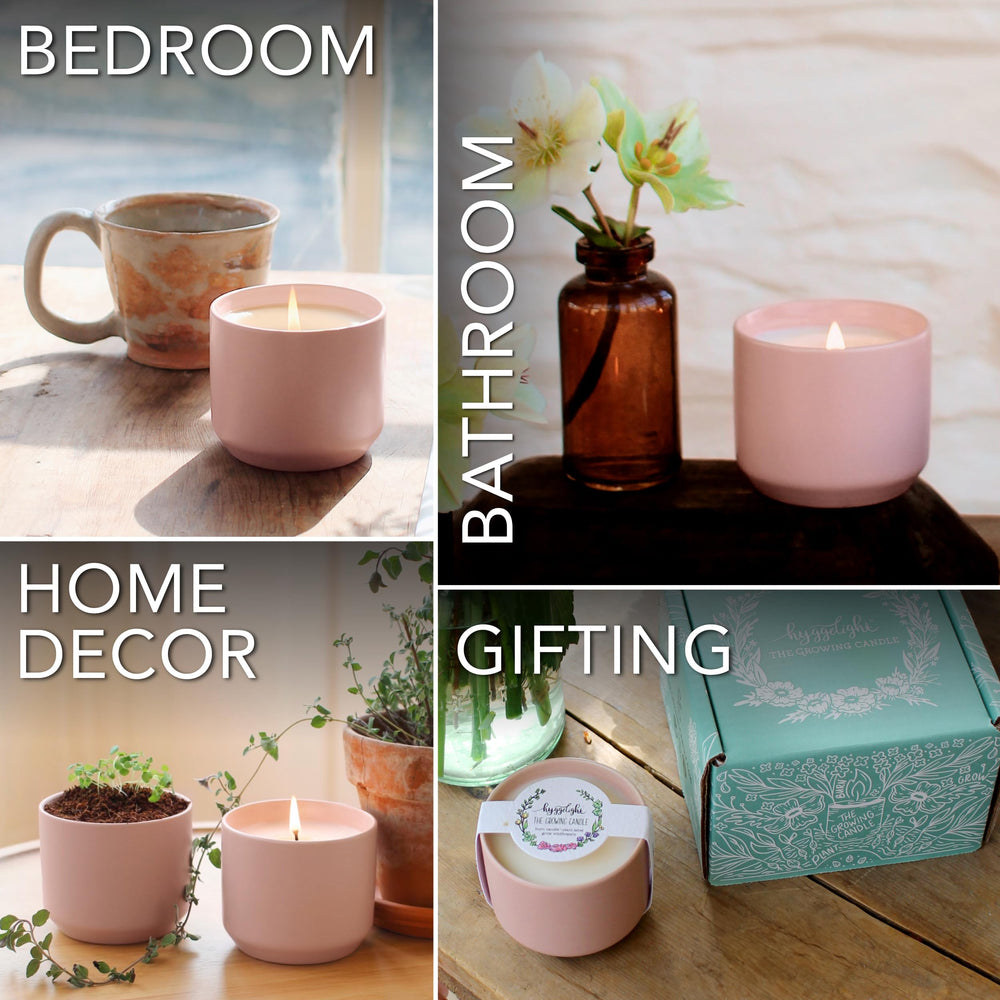 Hyggelight Adelyn upcycle container becoming a charming planter