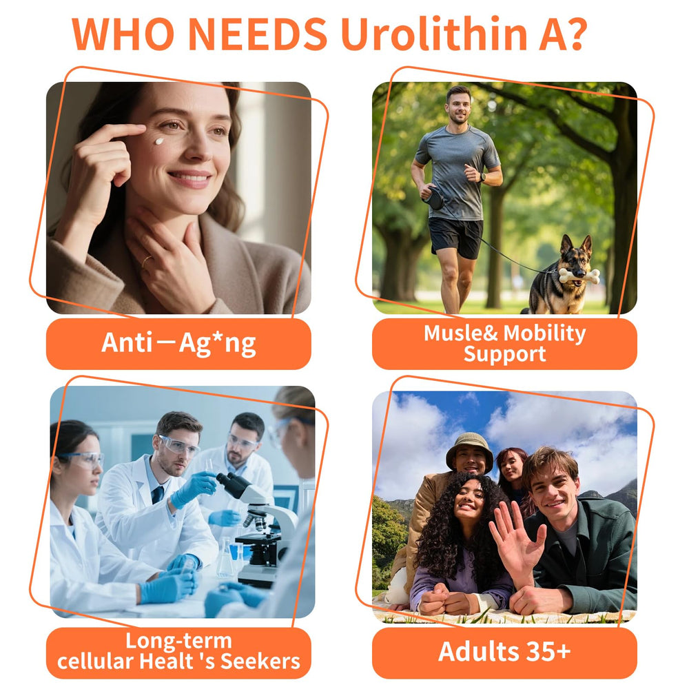 Hywebvctok Urolithin A muscle recovery use image implies post-workout support