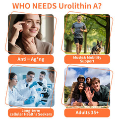 Hywebvctok Urolithin A muscle recovery use image implies post-workout support
