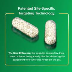 IBgard SST technology graphic illustrating targeted gut delivery.
