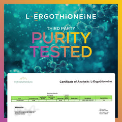 Ideal Infusion fermentation process closeup showcases fermentation-based premium quality.