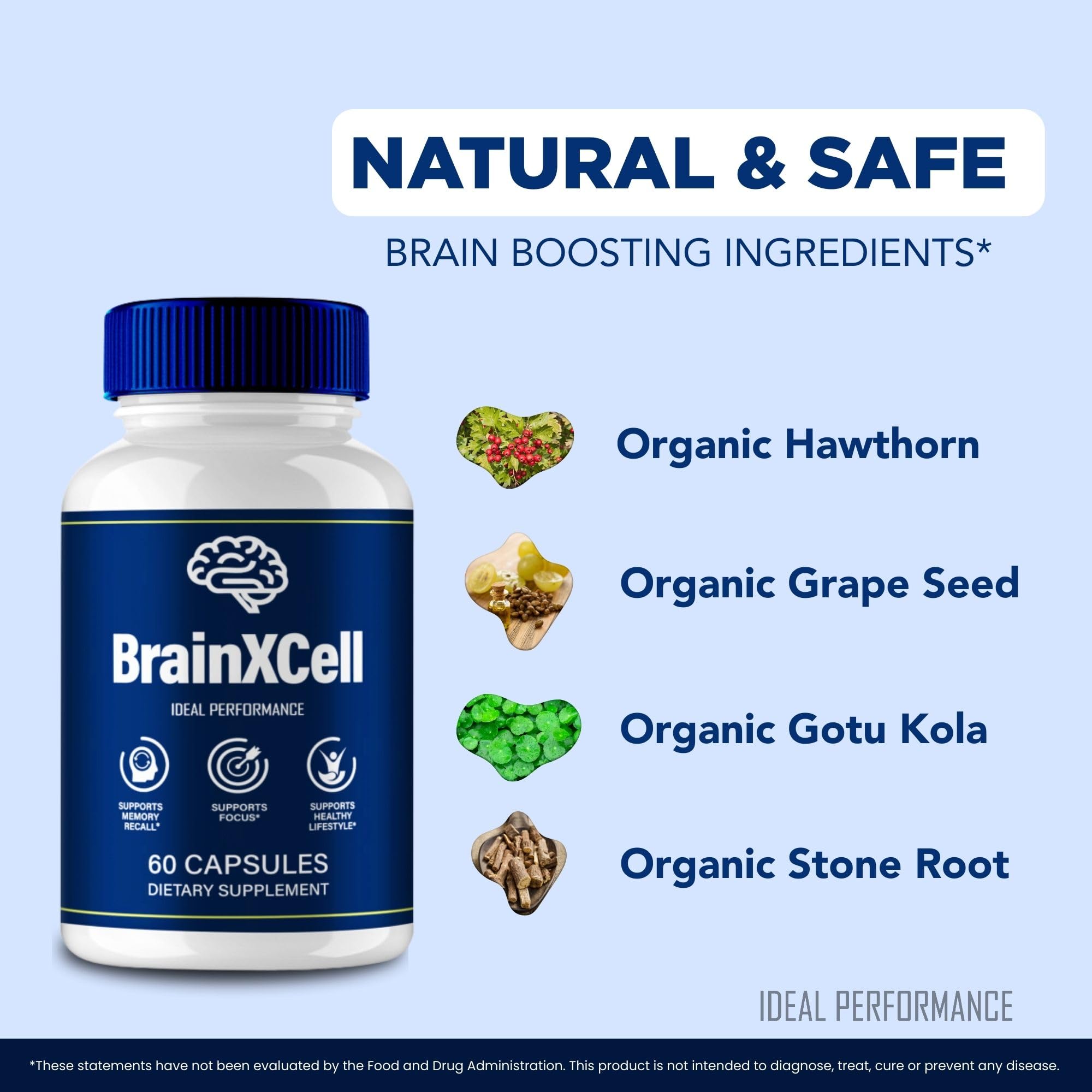Brainxcell ingredient icons illustrating all-natural nootropic components for mental clarity.