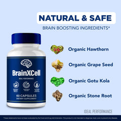 Brainxcell ingredient icons illustrating all-natural nootropic components for mental clarity.