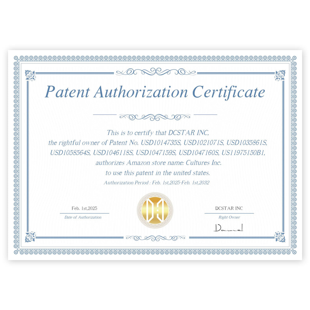 IDEAR P10 patent-authorization label confirms authentic design and protection.