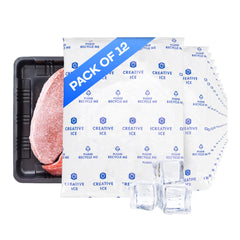 IDL Packaging Gel Ice Packs 11x9x1.25 inch, long-lasting cooling for shipping and storage.