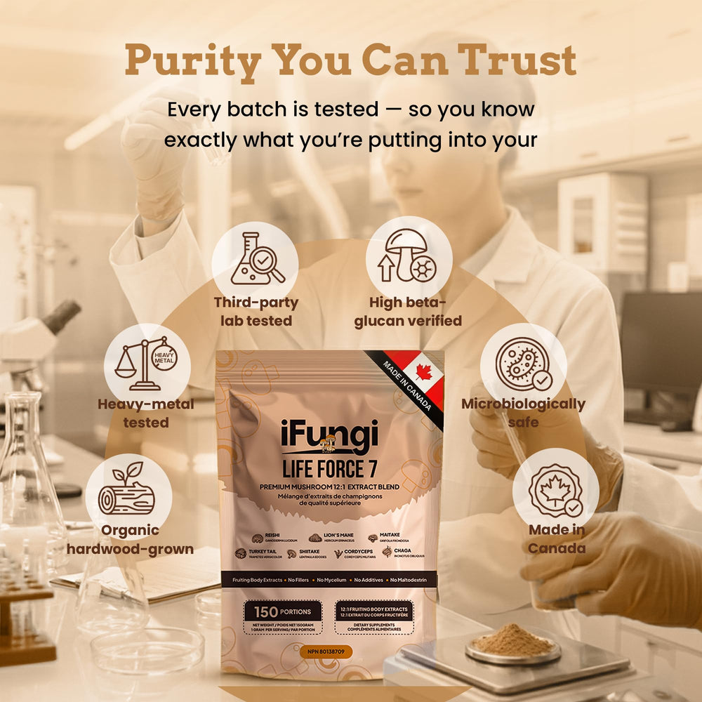 iFungi Life Force 7 bottle-top close-up highlights premium extraction quality