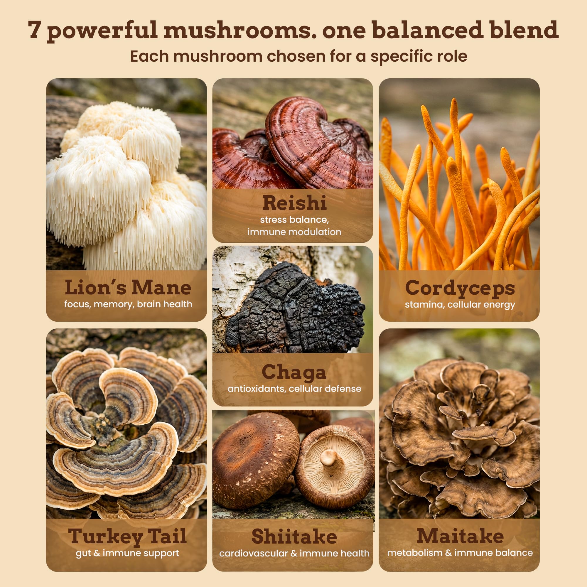 iFungi Life Force 7 serving-spoon measures a convenient 1 g daily serving