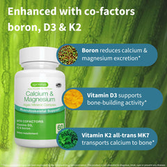 Igennus Algae Calcium & Magnesium ingredients graphic illustrating ratio.