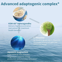 Igennus Ashwagandha KSM-66 ingredients diagram highlights root-only extract