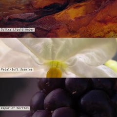 Illume packaging variant for Blackberry Absinthe diffuser enhances gift-ready presentation.