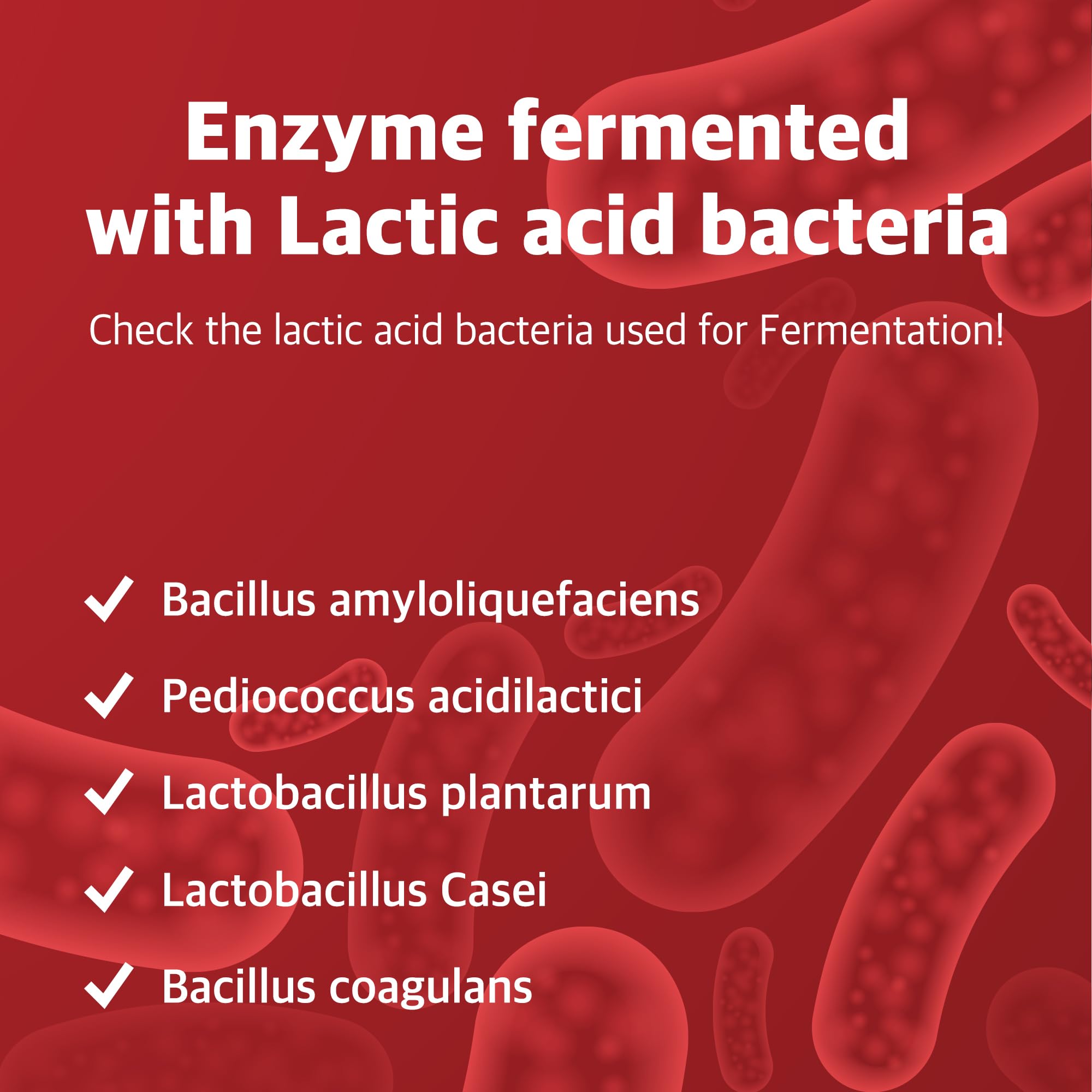 Caffeine-free formula of ILO Kamut Enzyme Complex for daily use.