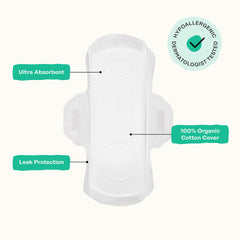 The Honey Pot Company 80ct Herbal Panty Liners – Organic Incontinence with Wings & Essential Oils