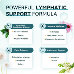 Imatchme Lymphatic capsules close-up for easy daily use.