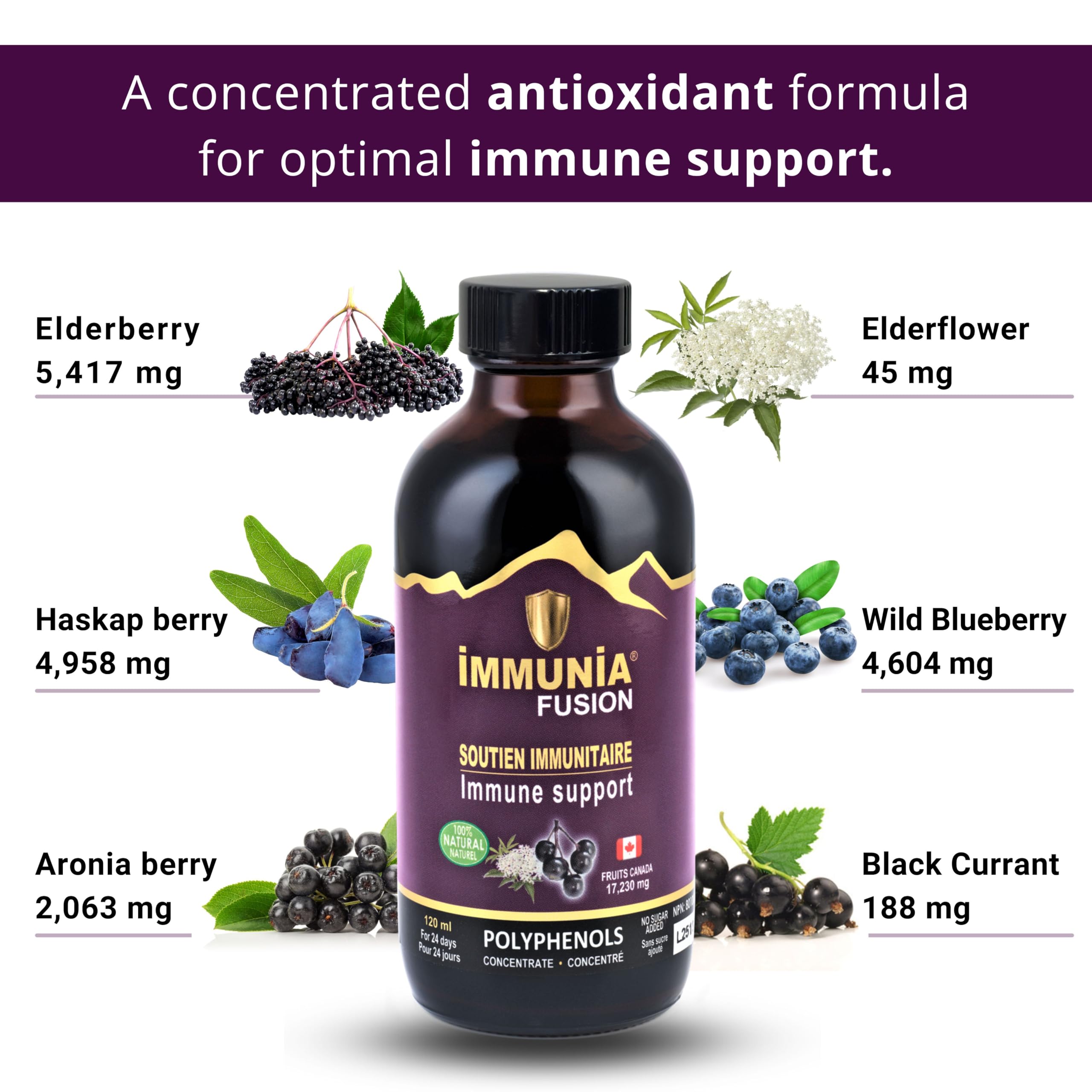 Immunia Fusion elderberry ingredients emphasize polyphenols and antioxidants.