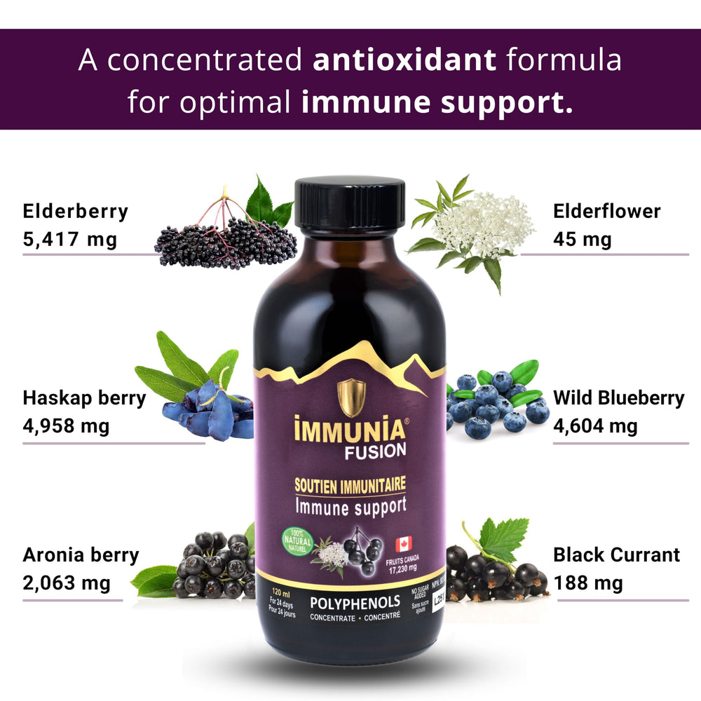 Immunia Fusion elderberry ingredients emphasize polyphenols and antioxidants.