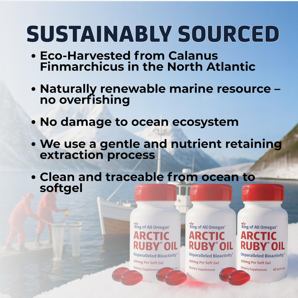 Immunocorp Arctic Ruby Oil trio bottles illustrating ongoing omega-3 and astaxanthin intake.