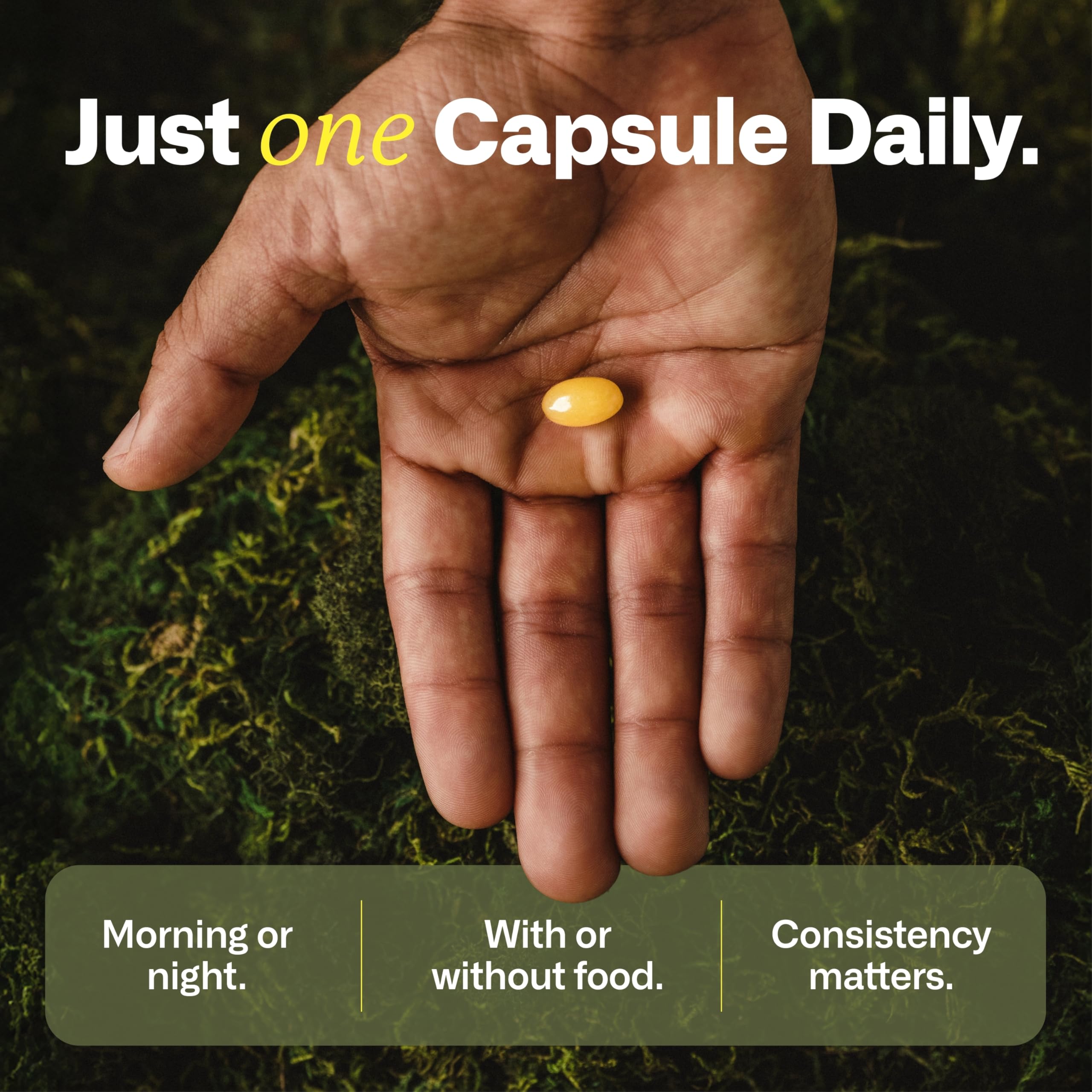 IMMY supplement container conveys convenient daily routine for gut-brain harmony.
