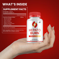 Indelo Hepato Burn ingredients graphic illustrating a natural blend for daily routines.