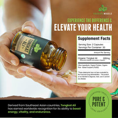 Indonesian rainforest Tongkat Ali roots illustrate wild cultivation for stamina support.