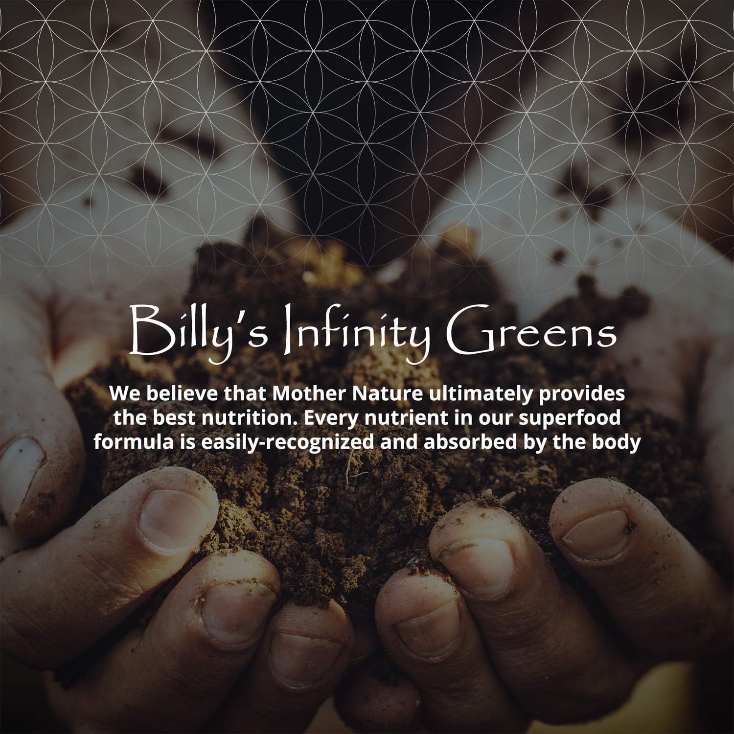 Infinity Greens bar ingredients are lab-tested for quality