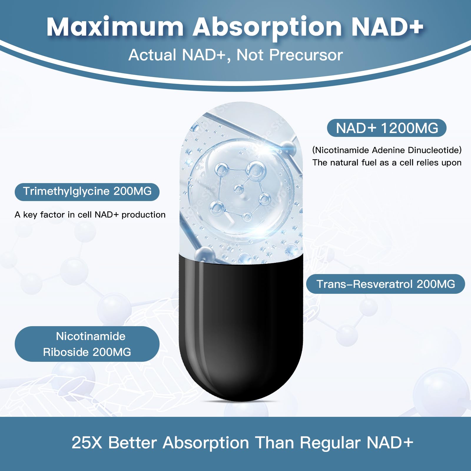 ingreens Liposomal NAD+ plus absorption graphic illustrating liposomal delivery