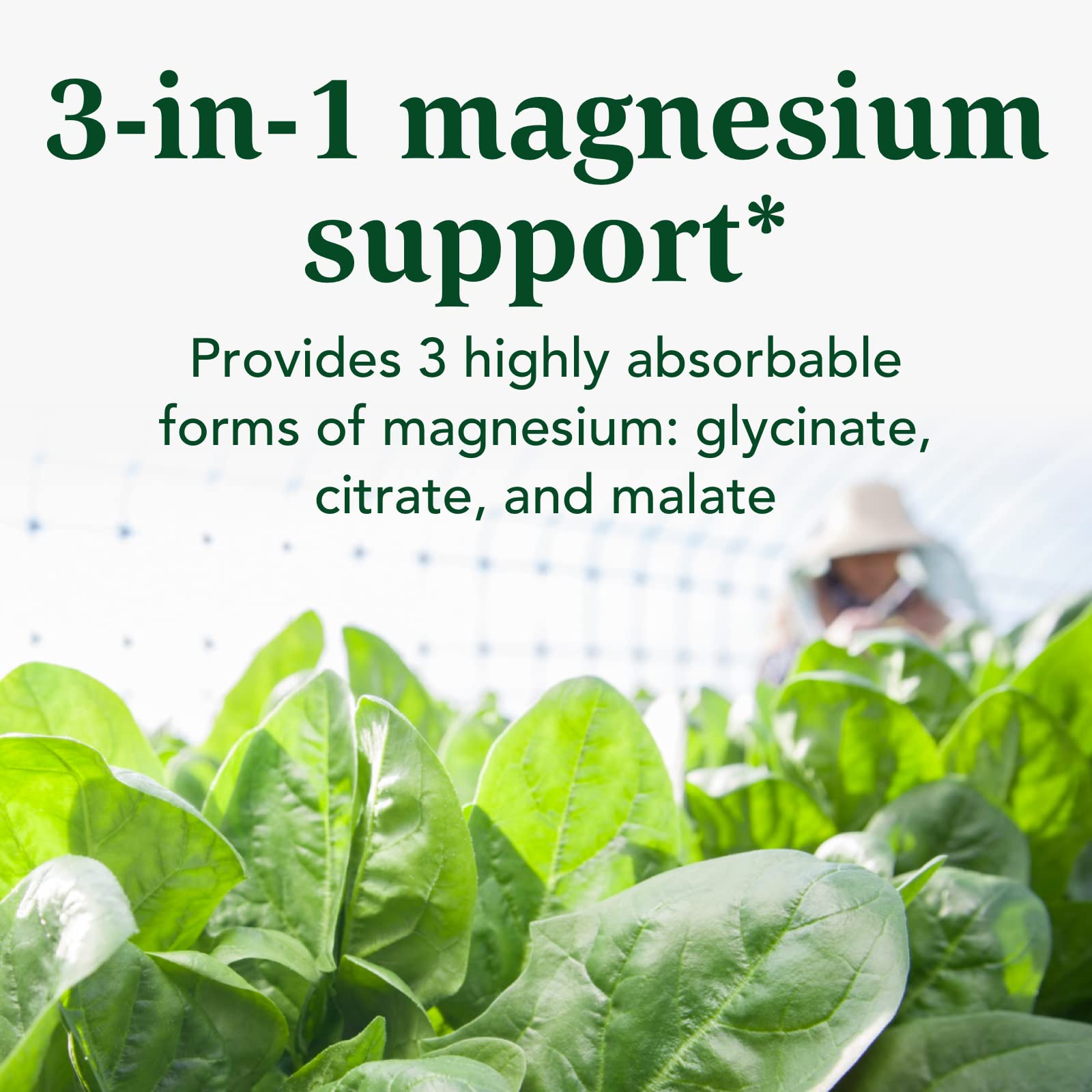 INNATE Magnesium serving-size image emphasizes two capsules taken with meals.