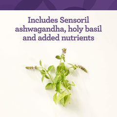 Innate Thyroid Response gluten-dairy-free formula signals allergen-friendly design.