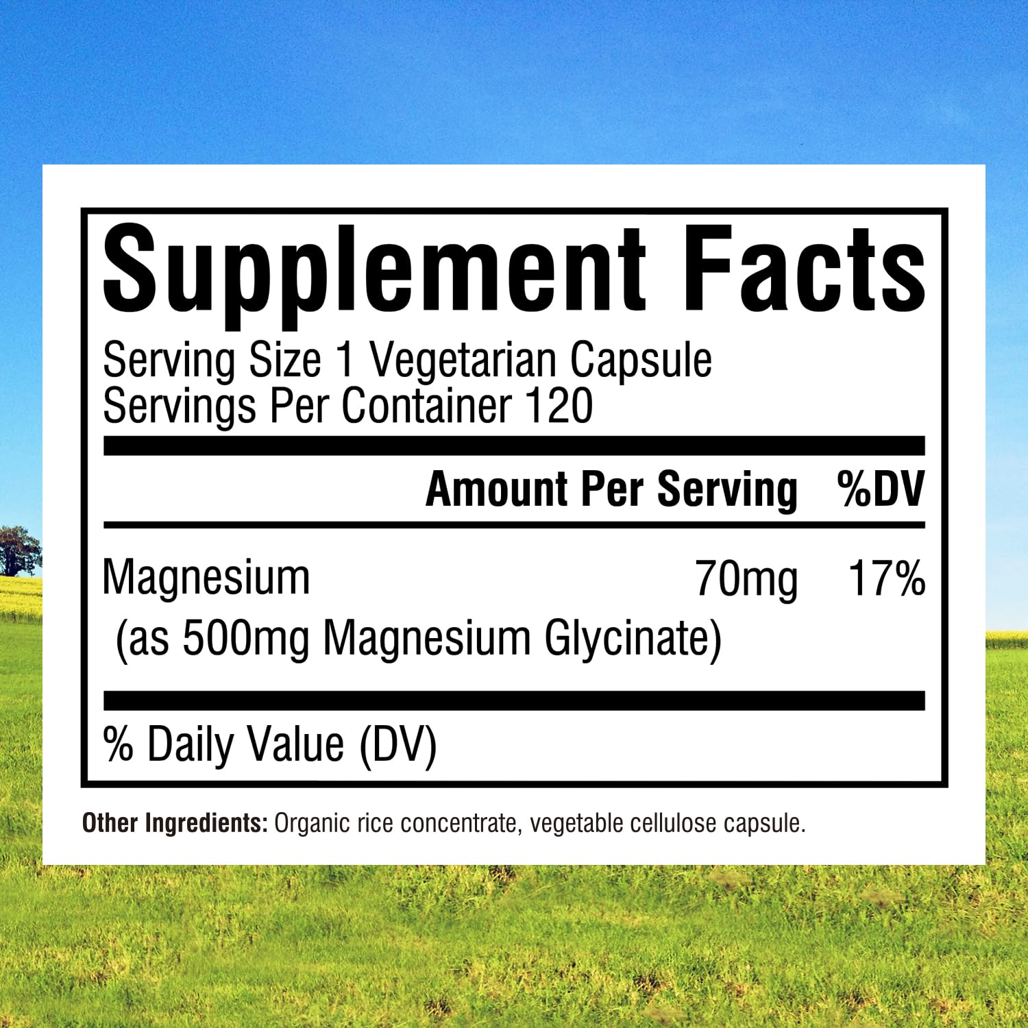 Close-up of Innate Vitality capsules showing high absorption formula