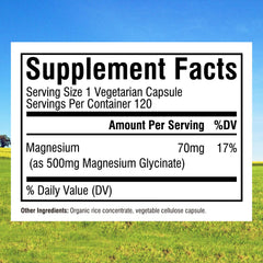 Close-up of Innate Vitality capsules showing high absorption formula