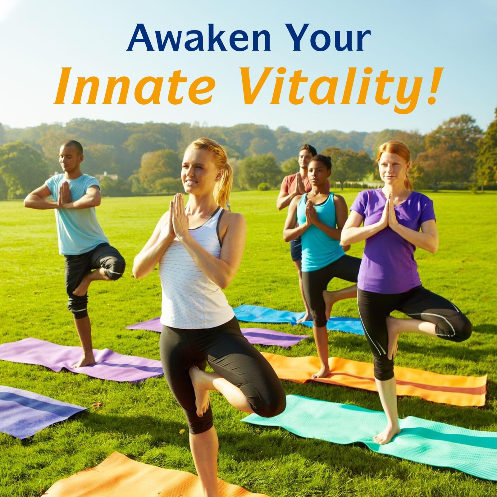 Innate Vitality packaging display box ready-to-use omega-3 supplement.