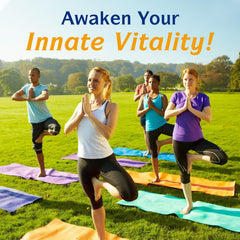 Innate Vitality packaging display box ready-to-use omega-3 supplement.