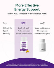 Capsules of Inner Brightness NMN 500mg for easy daily use