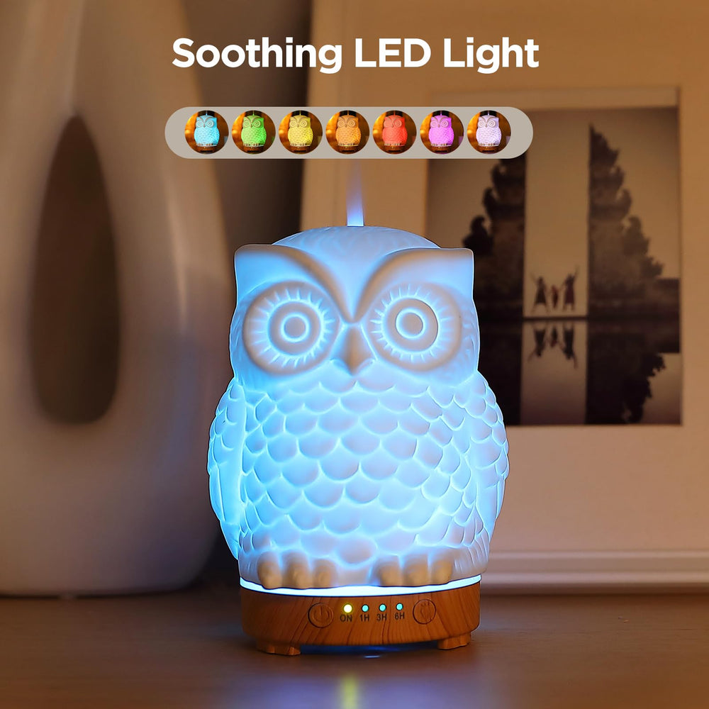 Inrorans porcelain owl diffuser highlighting the owl shape for elegant decor.
