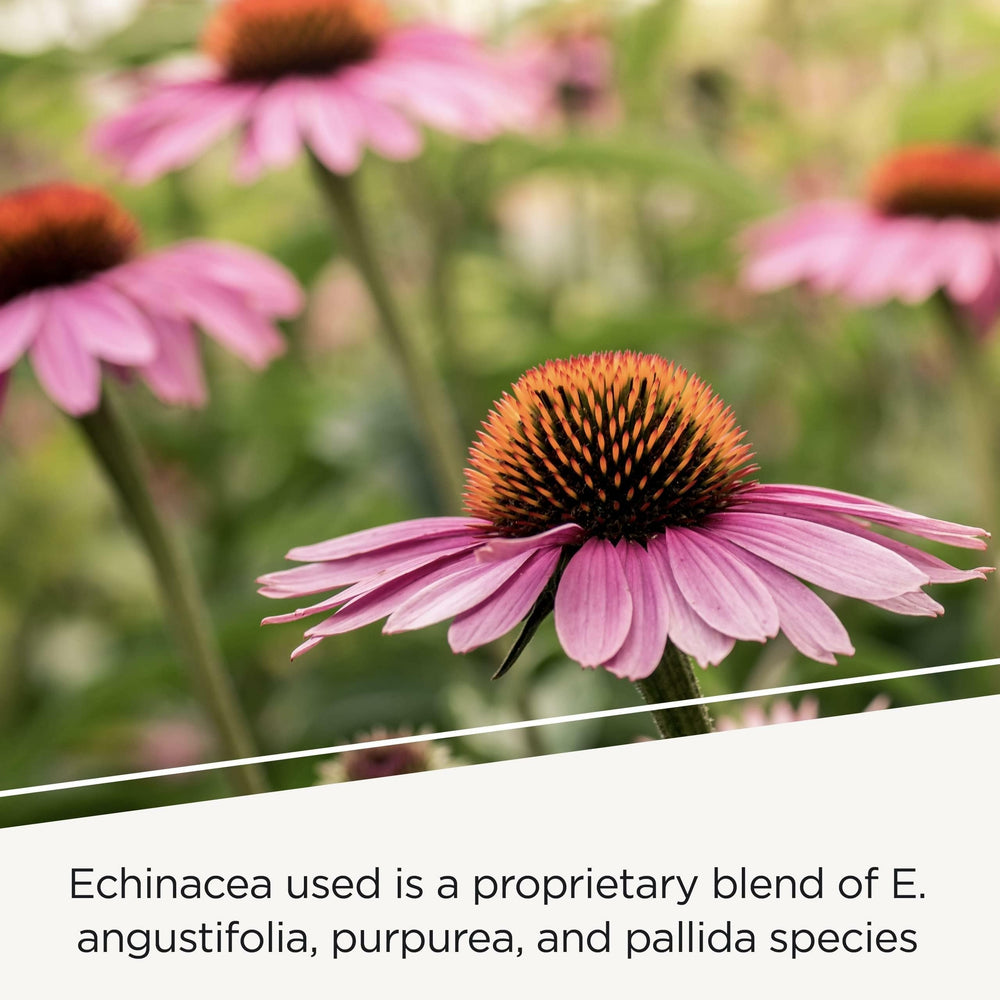 Vitamins A, C, B6 and zinc in EHB support wellness today.