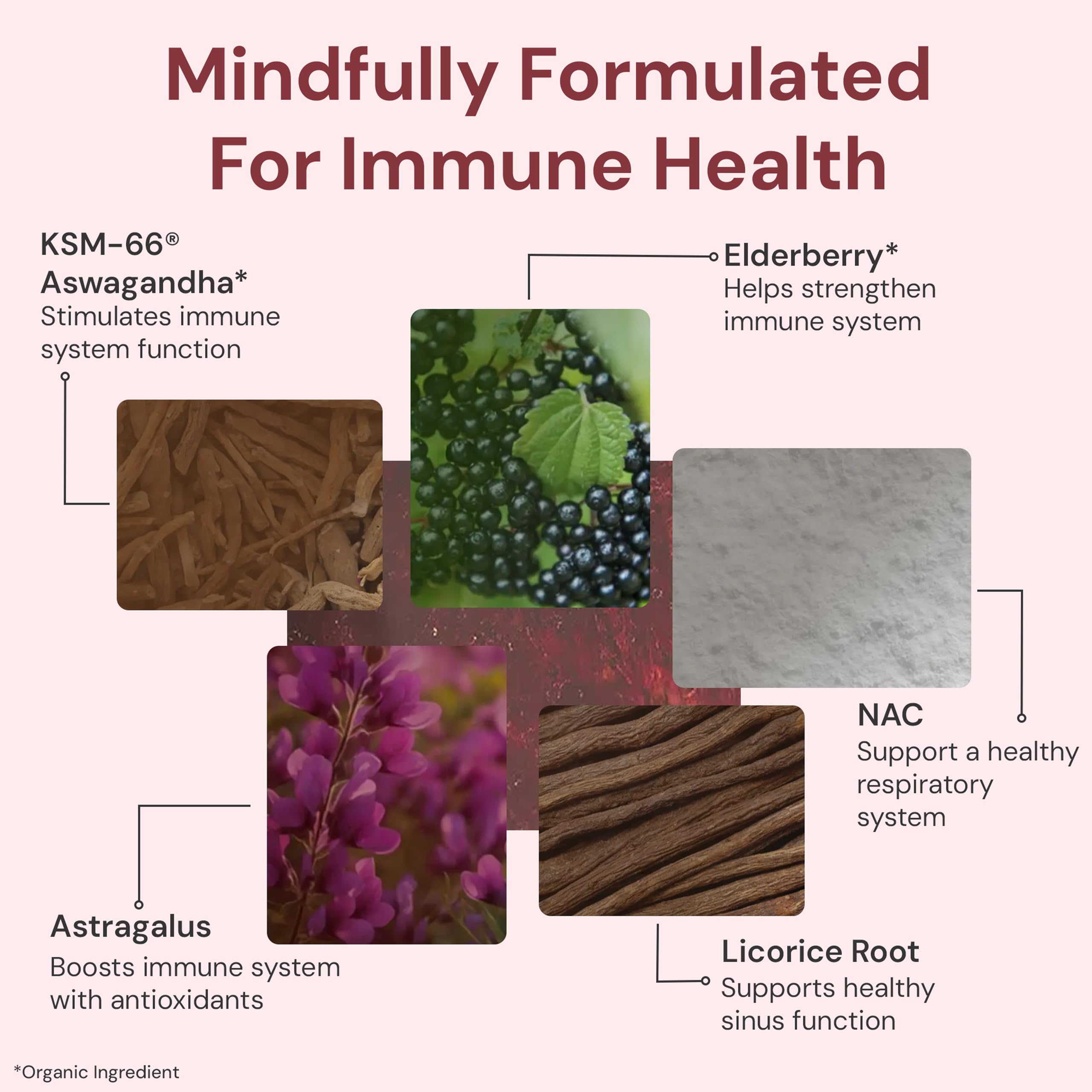 ION adaptogen mushrooms immune packets support stress resilience in a flavorful sip