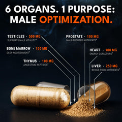 Bone marrow capsules from Ironclad Nutrition beef organ blend.