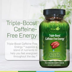 Illustration of Bee Pollen and Royal Jelly among energizing ingredients.