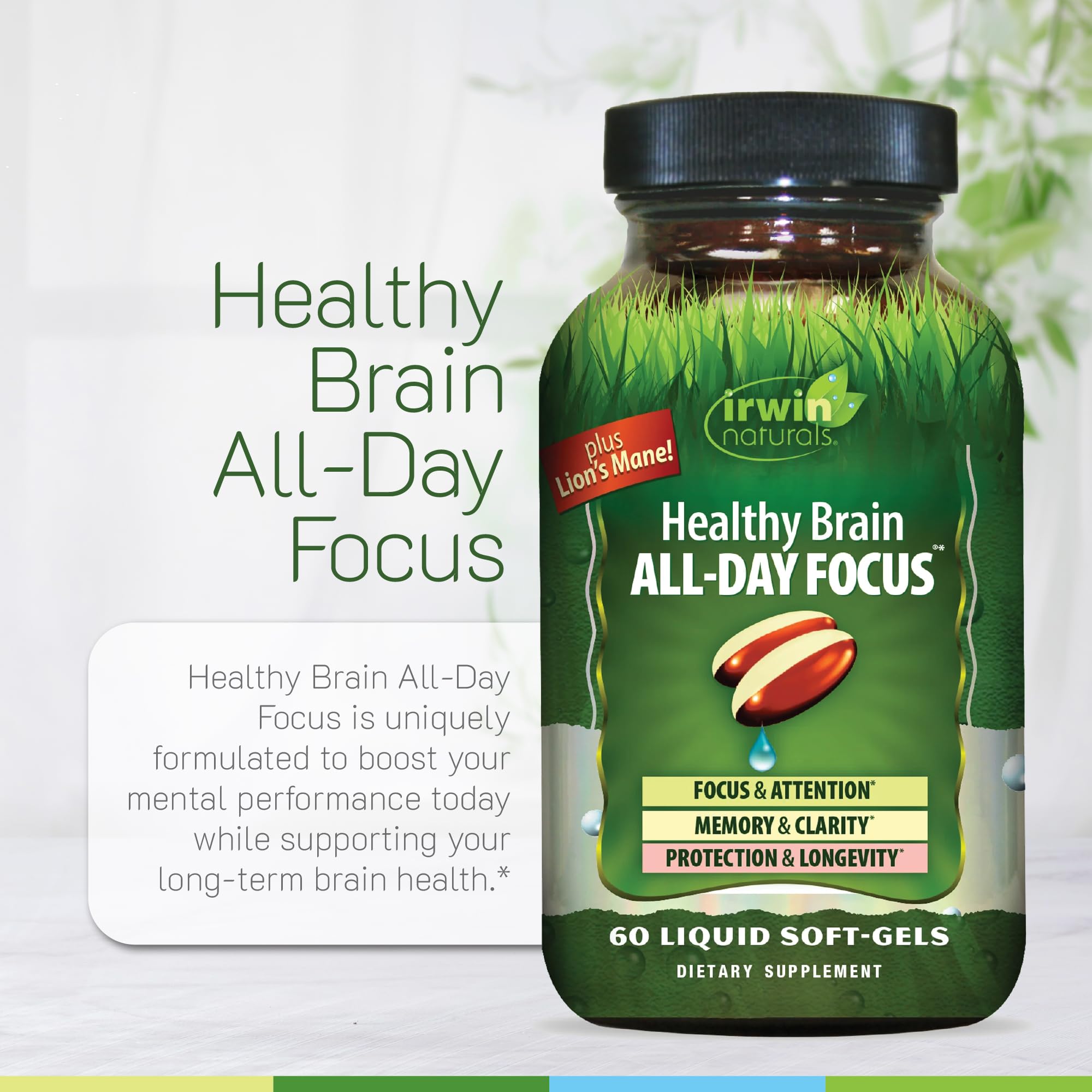 Irwin Naturals wild blueberry extract graphic indicating antioxidant support