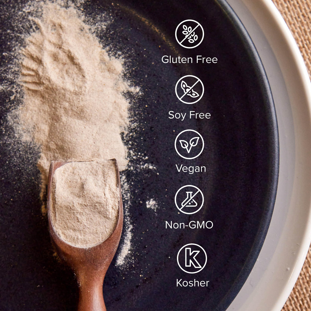 Isagenix Immune Shake Booster mixed glass showing versatile recipe options and fiber boost.
