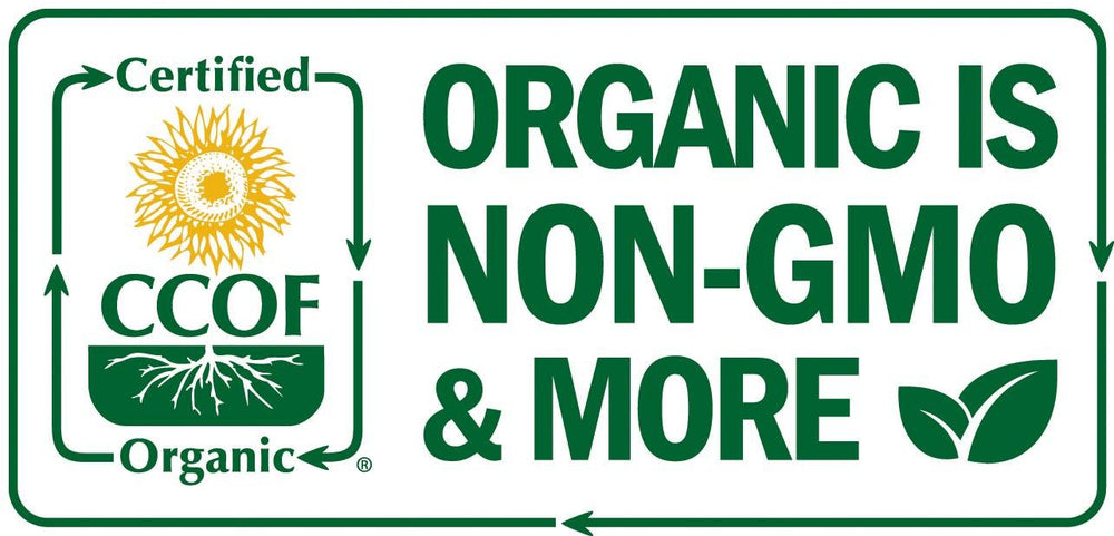 Island Nutrition oregano oil dropper scene, ready to dilute with carrier oil at home