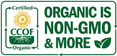 Island Nutrition oregano oil dropper scene, ready to dilute with carrier oil at home