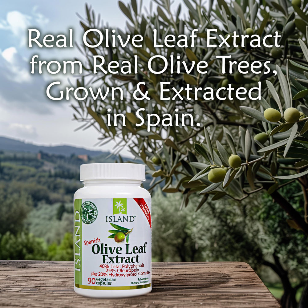 Photo of Island Nutrition Spanish olive farms highlighting authentic Mediterranean source