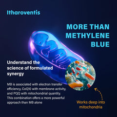 Itharoventis bottle highlights CoQ10 and PQQ for mitochondrial energy support