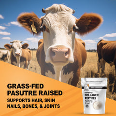 It's Just! collagen peptides scoop beside powder for convenient dosing.
