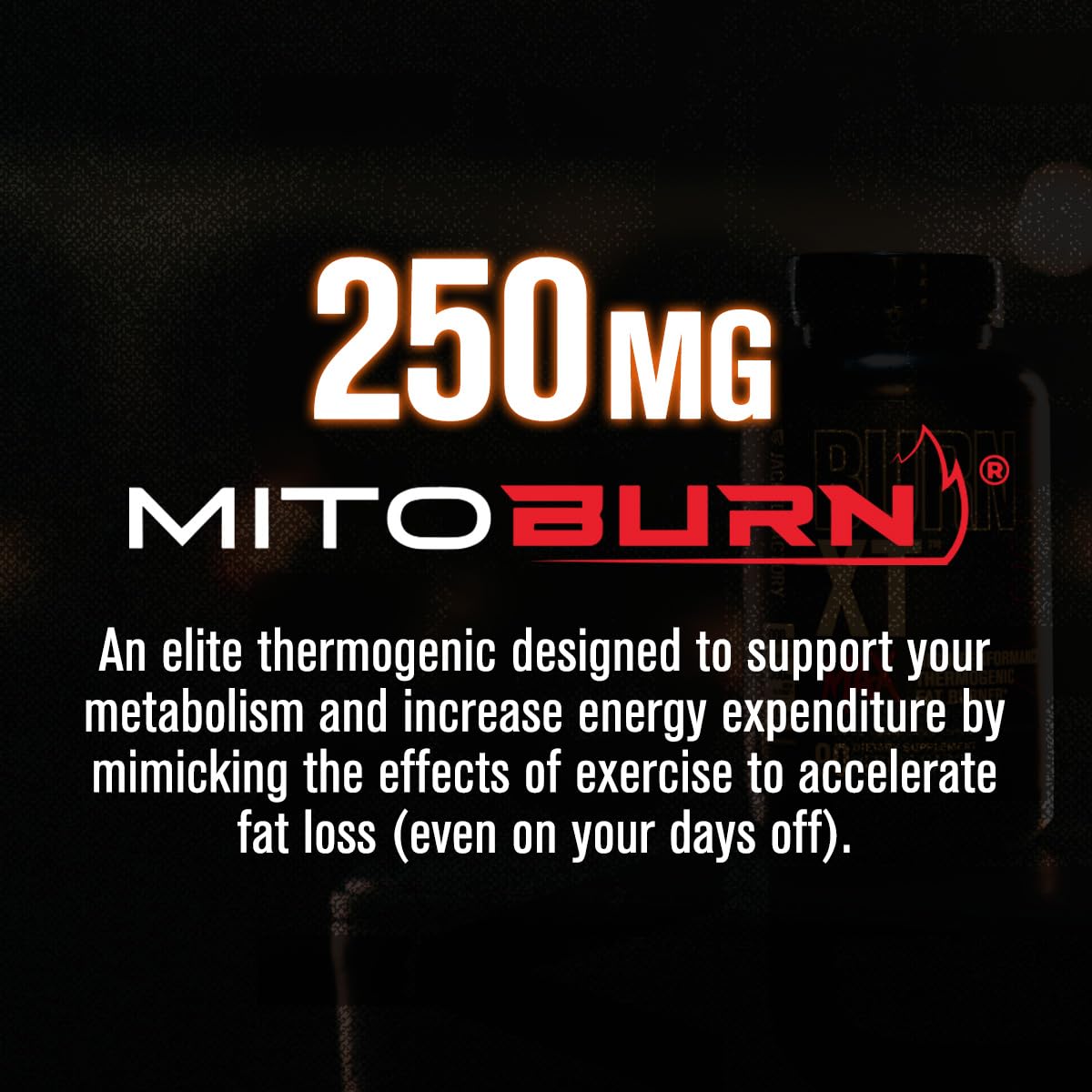 Close-up of Burn-XT Max label highlighting PurCaf caffeine and key ingredients.