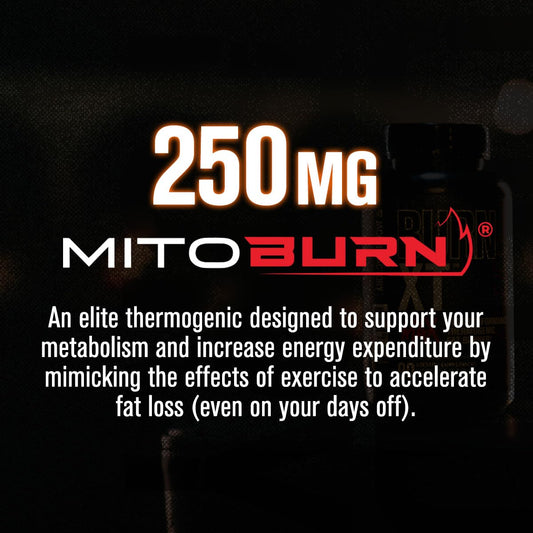 Close-up of Burn-XT Max label highlighting PurCaf caffeine and key ingredients.