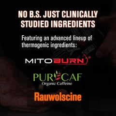 Green Tea Extract visual representing polyphenol support in Burn-XT Max.